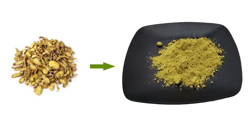 Introduction To Scutellaria Baicalensis Extract Powder Introduction To Scutellaria Baicalensis Extract Powder