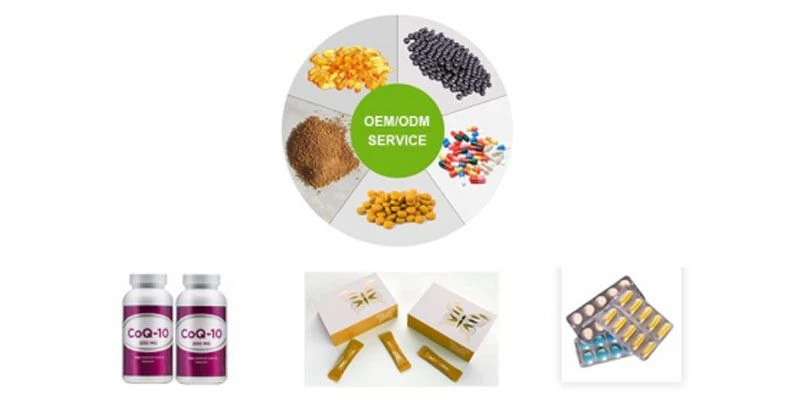 Cinnamon Extract Powder7