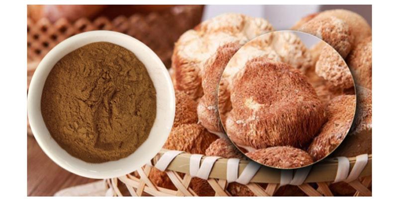 Hericium Erinaceus Polysaccharide Powder1 Hericium Erinaceus Polysaccharide Powder1